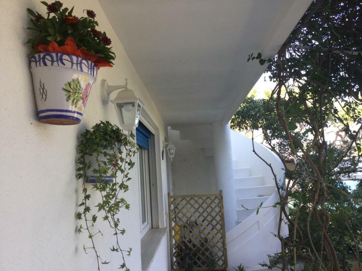 B&B Viadelmare Patù Extérieur photo